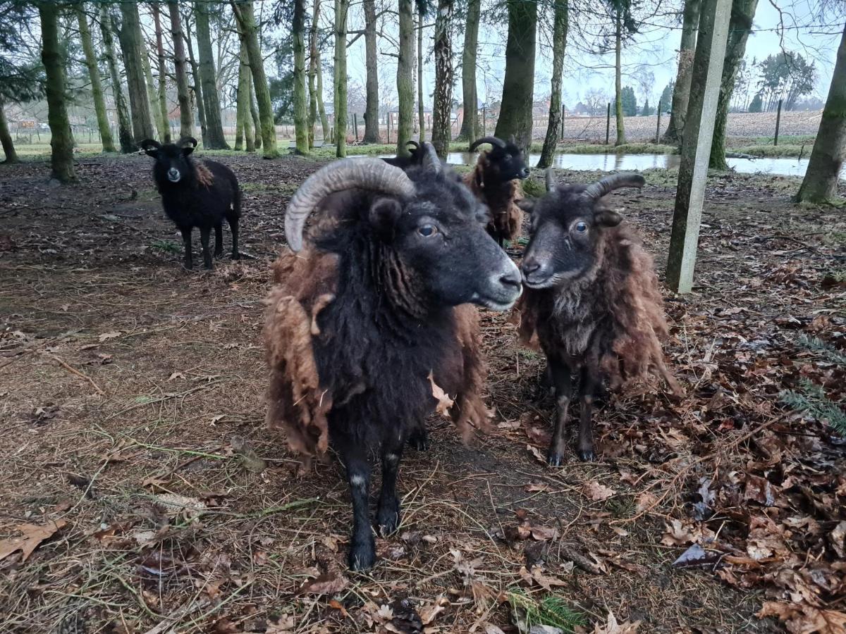 Parkhoeve Glamping Ham Bagian luar foto